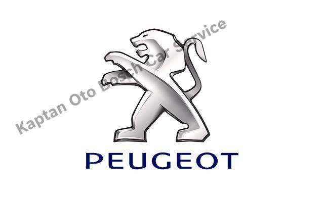 İnegöl Peugeot Servisi